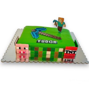 Tort Minecraft